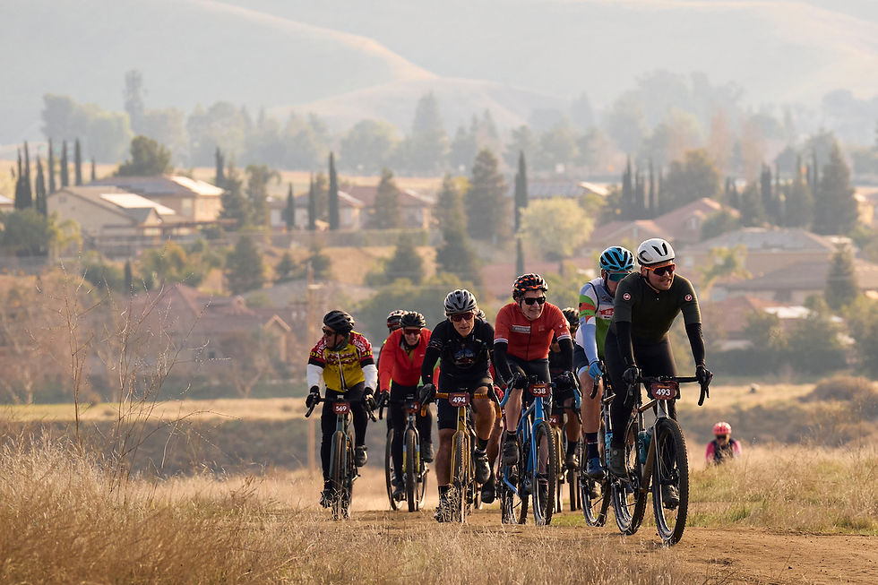 Rock Cobbler 2025 - Wil Matthews