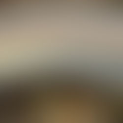 Vision SC 48 i25 Wheelset Review: Real-World Gravel & Road Performance Tested