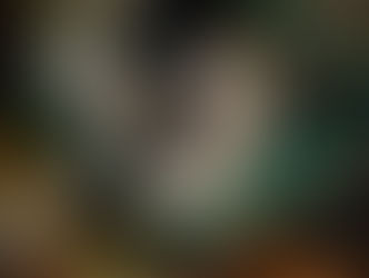 HEZO Wolfland 01 Review: 3D-Printed Gravel Shoes from Germany