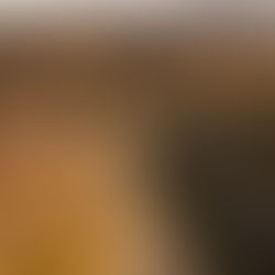 The Long Ride: "Badlands: Riding Through the Bones of the Earth