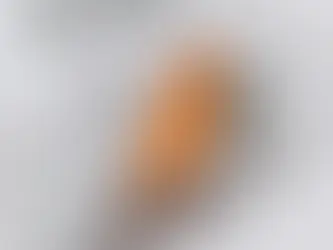 Armada WHITEWALKER 121: The Freestyle Powder Ski for Unleashing Creativity