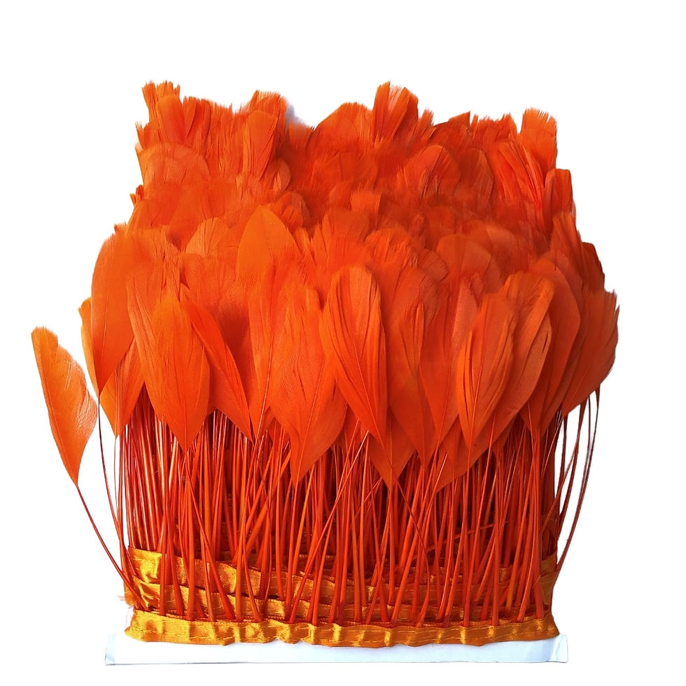 Orange Stripped feather