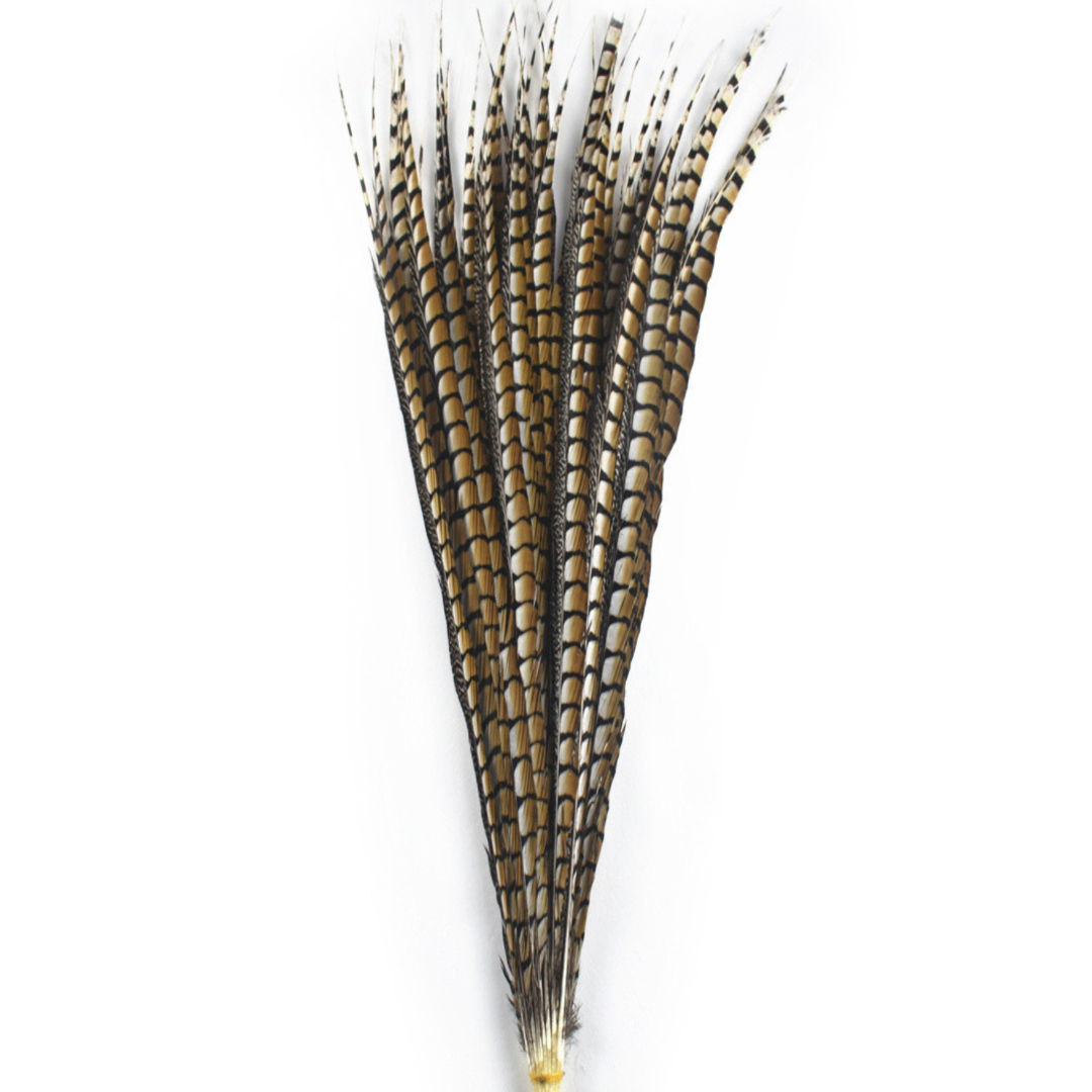 Pheasant feather 100-110cm long