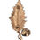 Thumbnail: Leaf Shaped Brooch