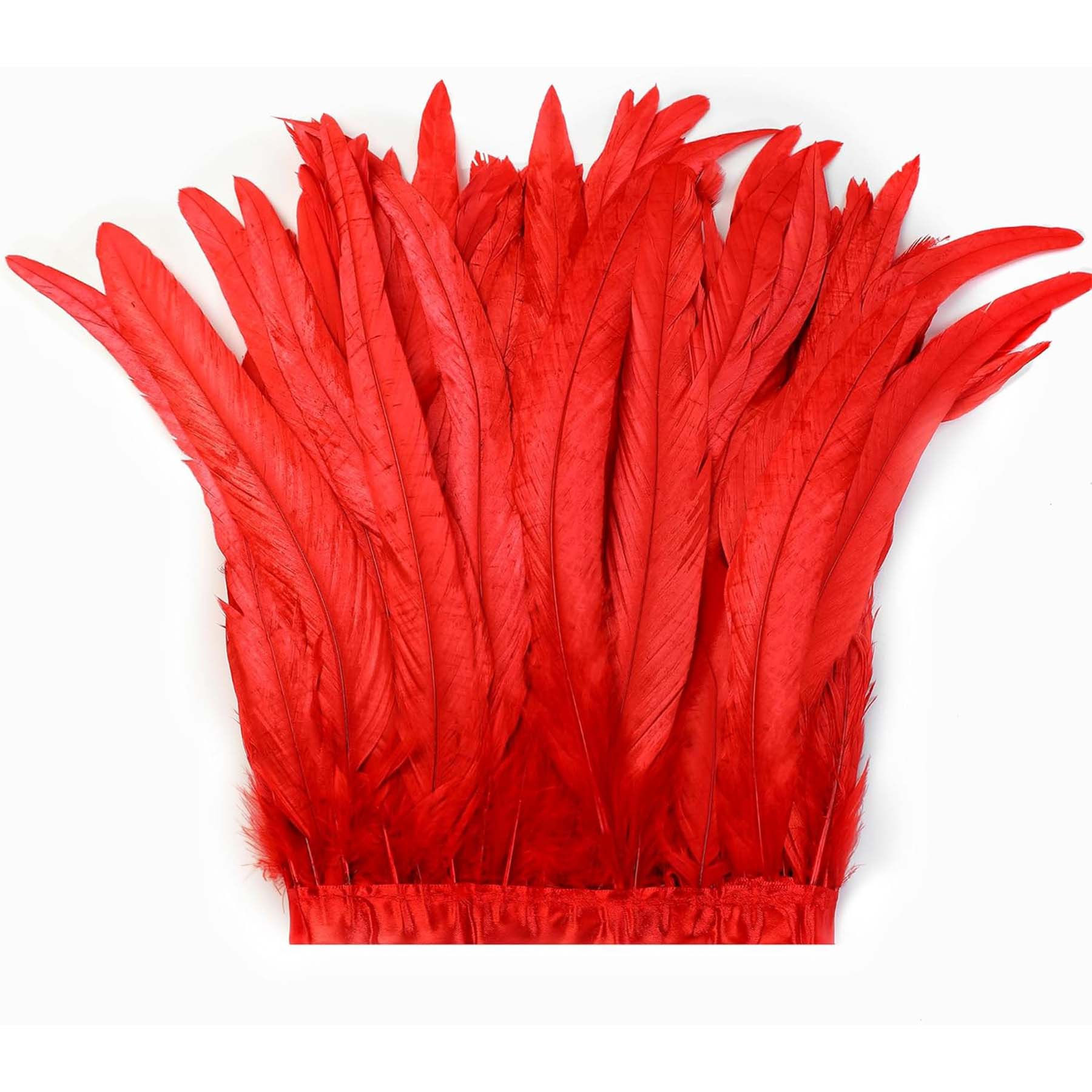 Red Rooster Feather
