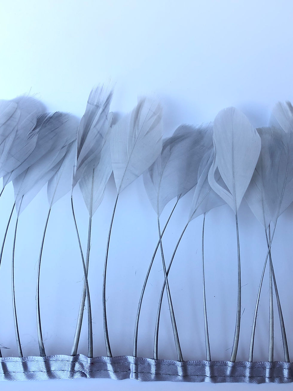 Thumbnail: Grey Stripped Feather