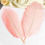 Thumbnail: Light Peach Ostrich Feather 25-30cm For Crafts Wedding and Decorations