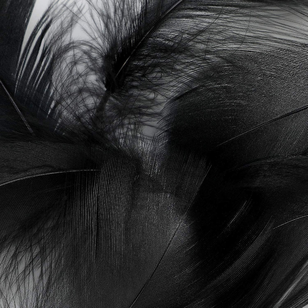 Thumbnail: Black Goose Feather