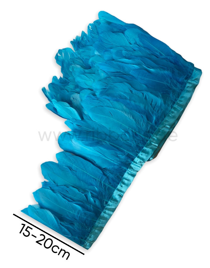 #02b8cc Feather