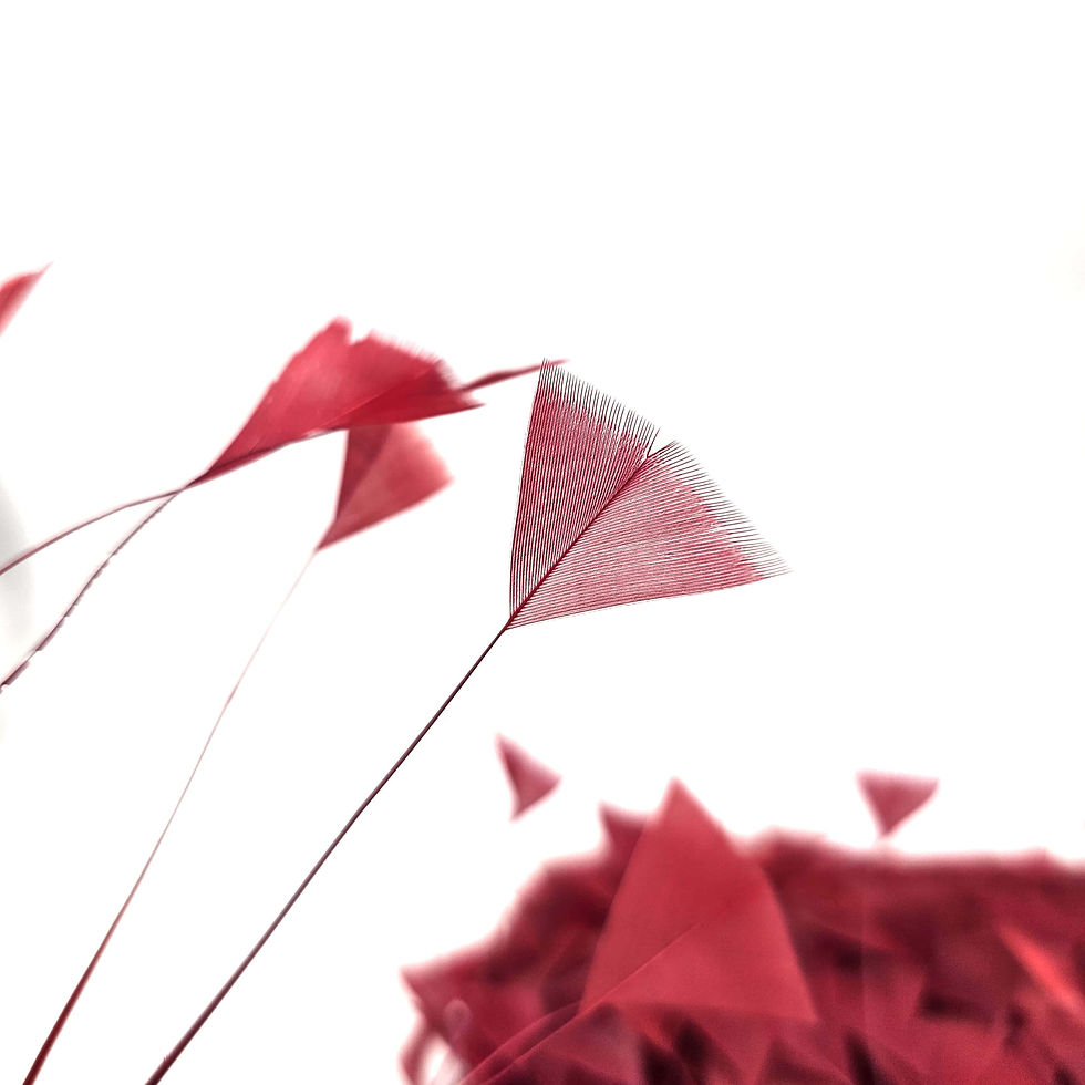 Thumbnail: Goose Stripped Maroon feather