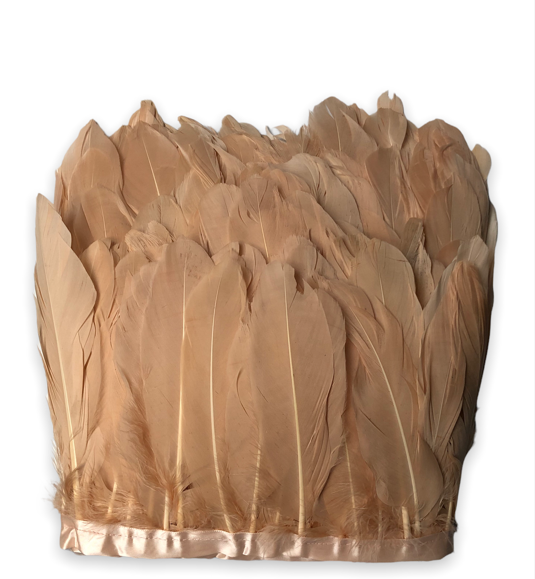 Beige Color Turkey feather