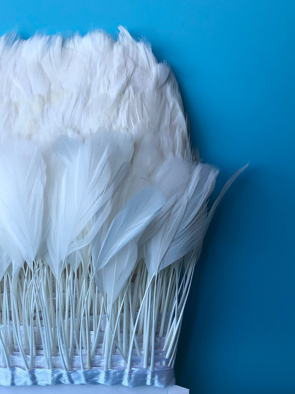 Thumbnail: White Stripped Feather