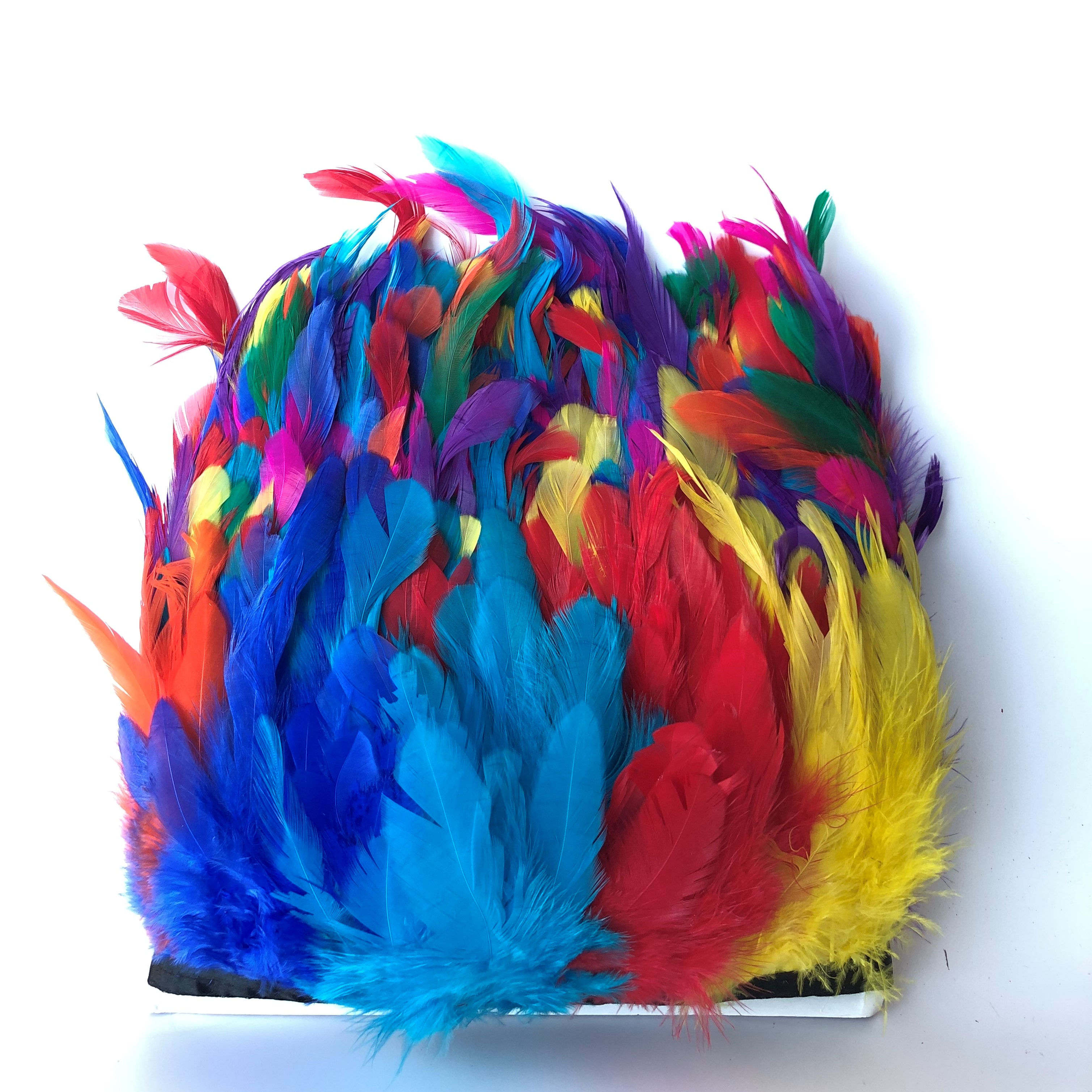 Multicolored Rooster Feather