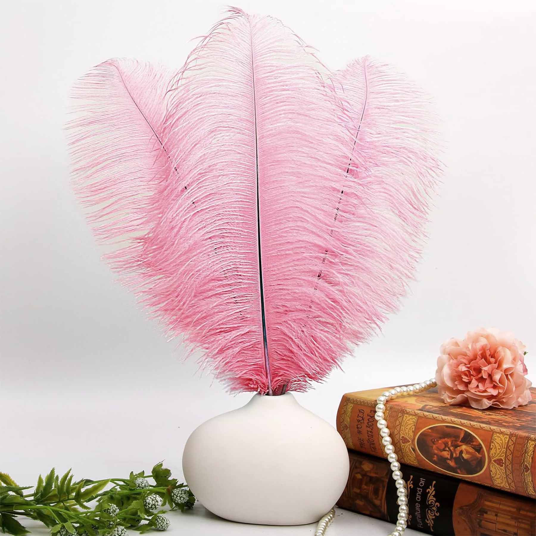 Baby Pink Ostrich feather