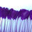 Thumbnail: Purple Stripped Feather