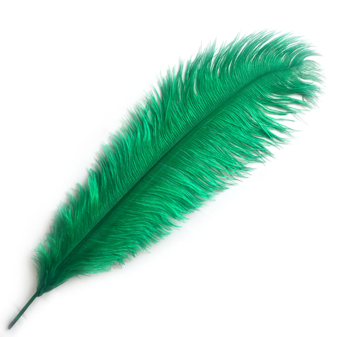 Green Ostrich Feather