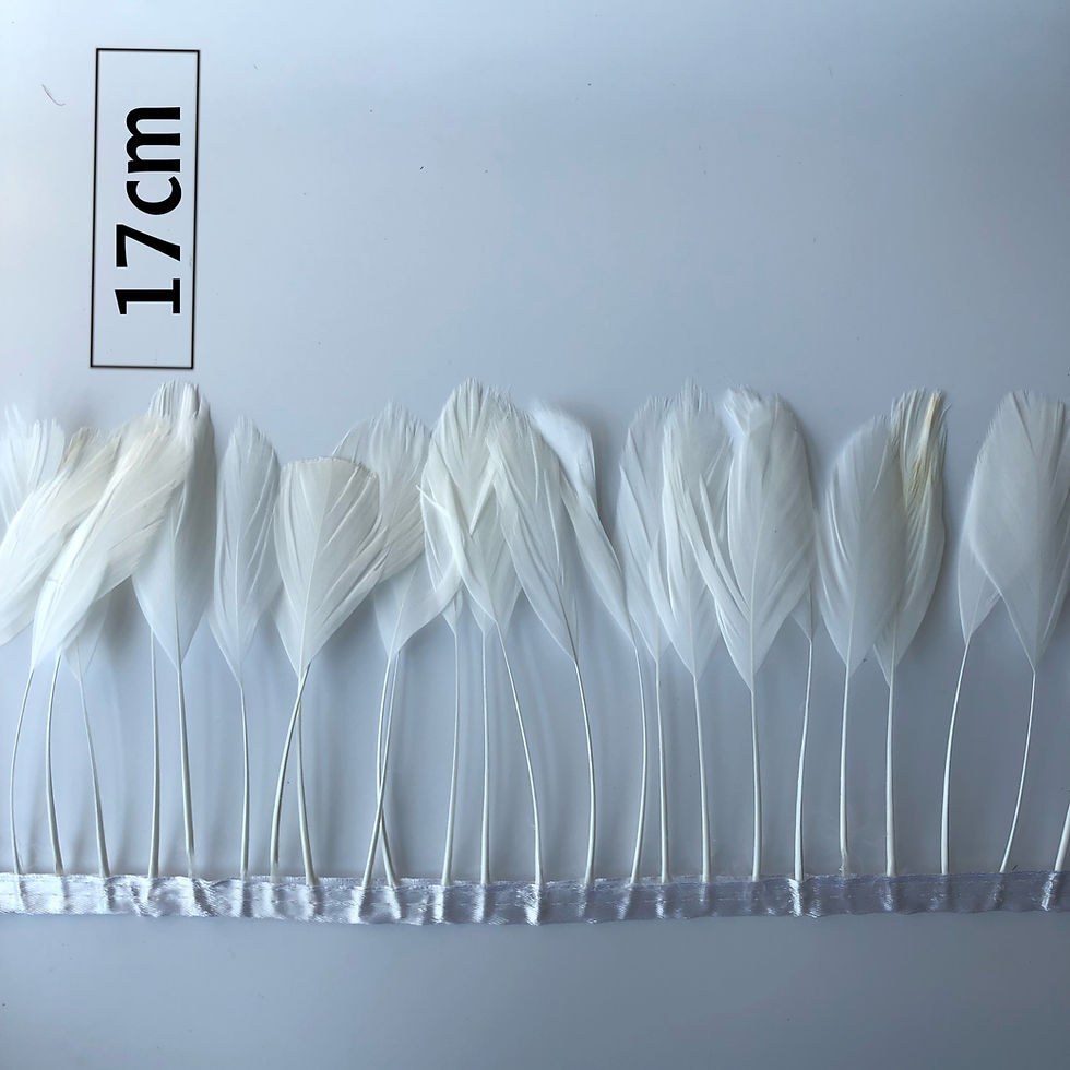 Thumbnail: White Stripped Feather