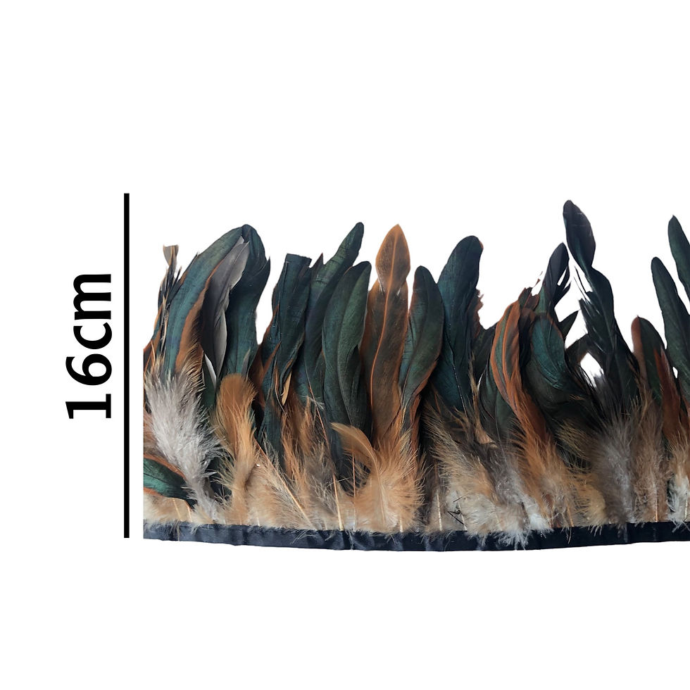 Thumbnail: Rooster Feather