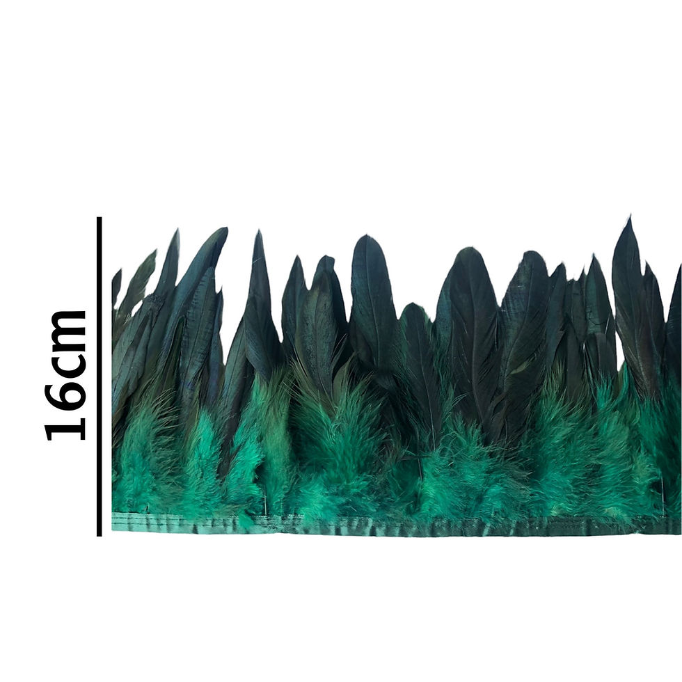 Thumbnail: Rooster Feather