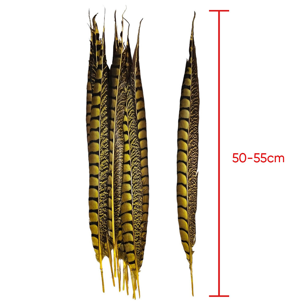 Thumbnail: Yellow Color Pheasant Feather