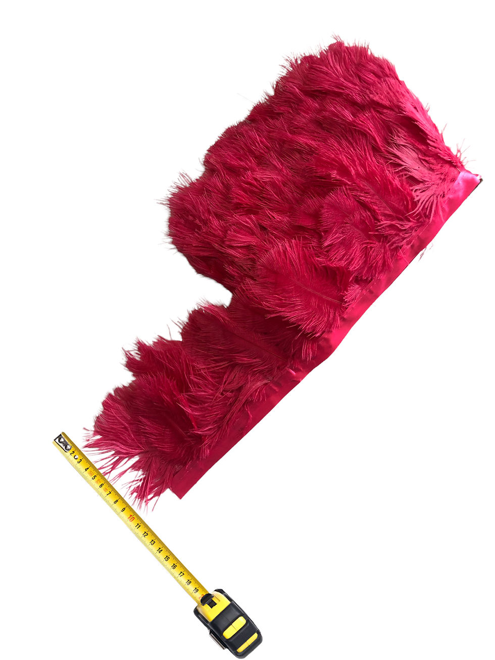 Thumbnail: Ostrich Feather