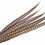 Thumbnail: Pheasant feather 100-110cm long