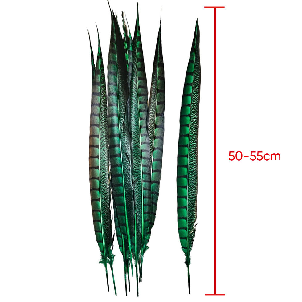 Thumbnail: Green Pheasant Feather
