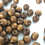 Thumbnail: Wooden Brown Beads