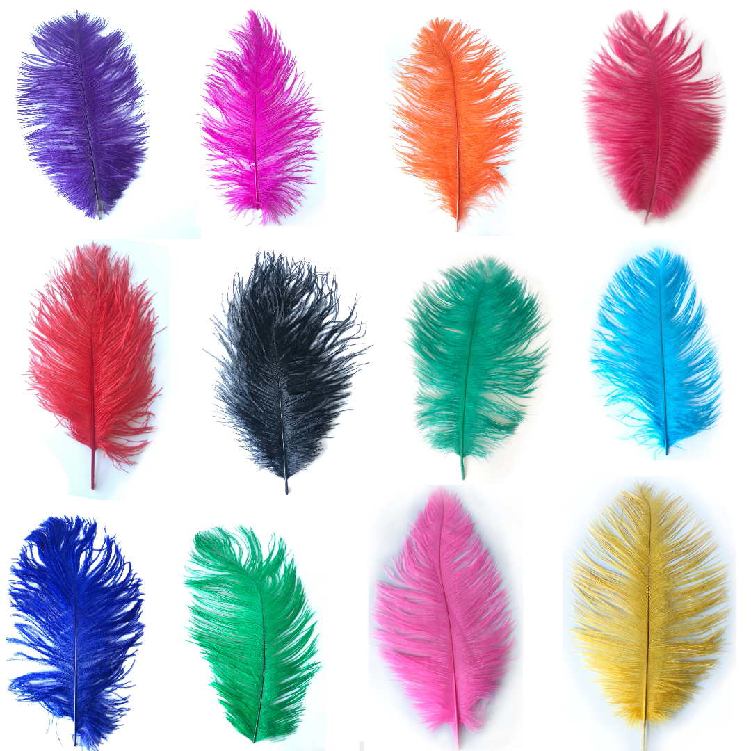 Ostrich Feathers