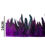 Thumbnail: Rooster feather