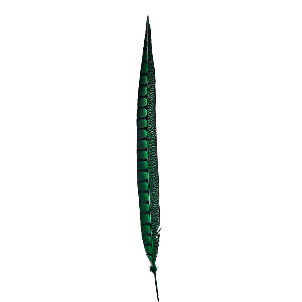 Thumbnail: Green Pheasant Feather