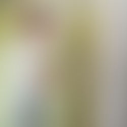 THE IMPORTANCE OF BASEMENT INSULATION