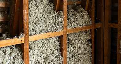 Attic Loose in