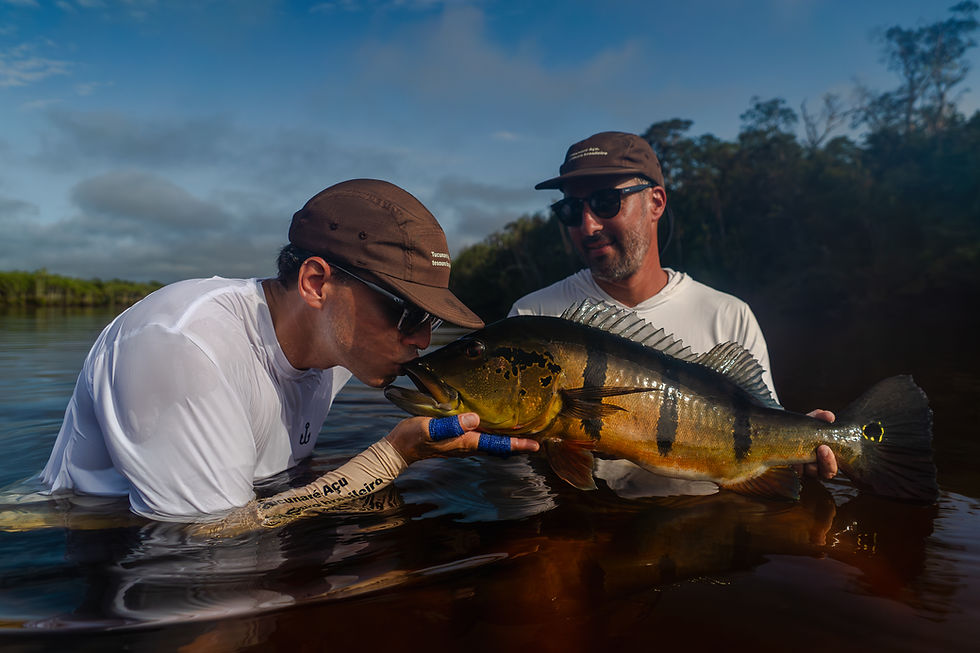 A escolha dos destinos Old Bait.