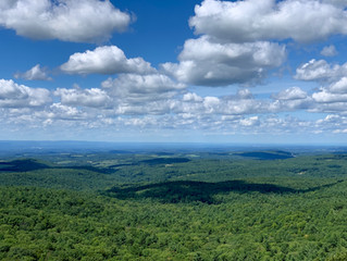 Seeing a wider view