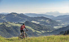 AdobeStock_355913414.jpeg