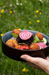 Hotel Adler Testshooting 240525-5.jpg