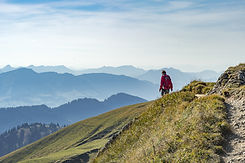 AdobeStock_230671447.jpeg