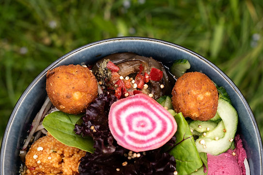 Hotel Adler Testshooting 240525-4.jpg