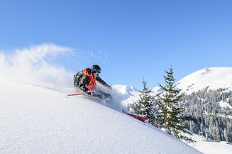 AdobeStock_56777434.jpeg