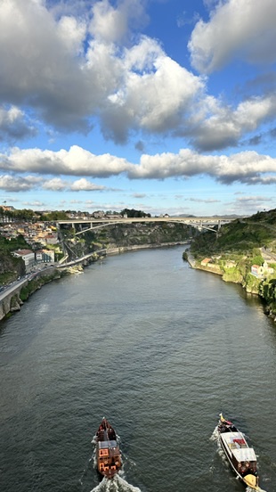 Jardim do Morro Porto