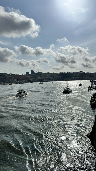 Dom Luís I Bridge Porto