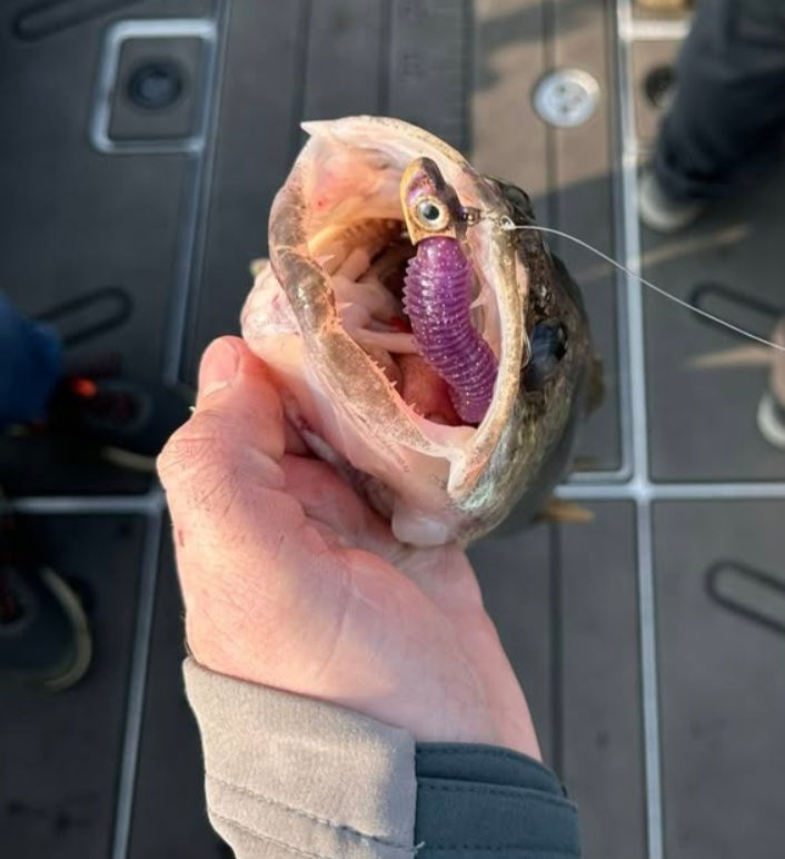 Close-up view of fishing jigs in a tackle box