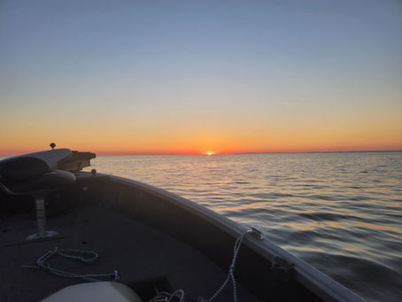 The Best Effective Walleye Techniques for a Great Catch