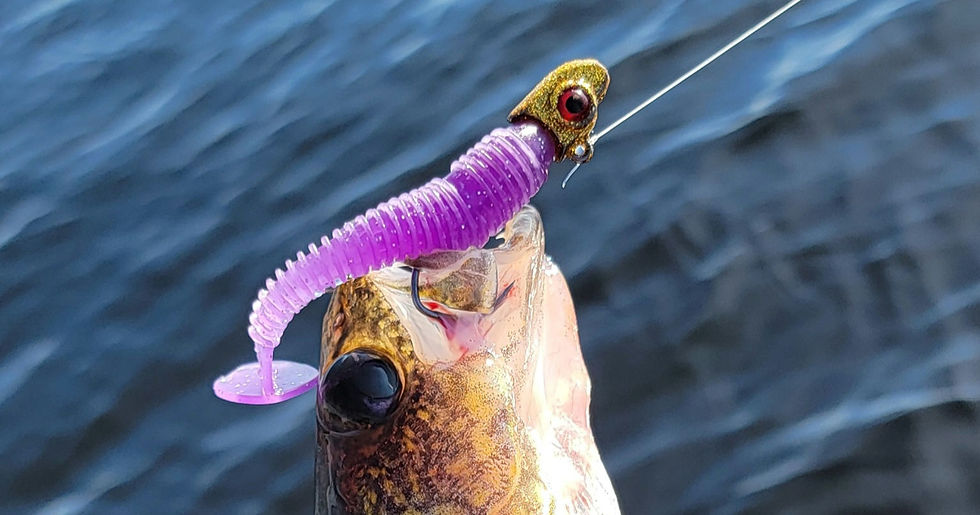 Hand holding a jig with soft plastic tail