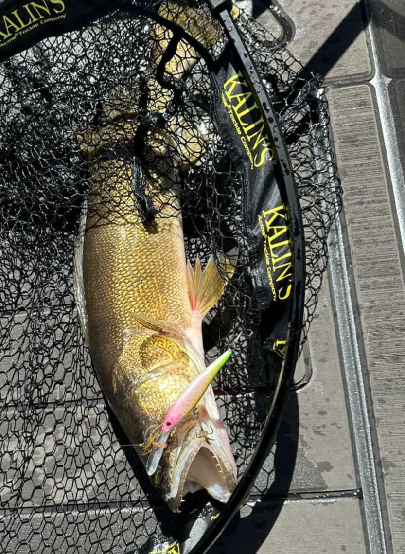 Effective Walleye Techniques: The Best Techniques for Walleye Fishing