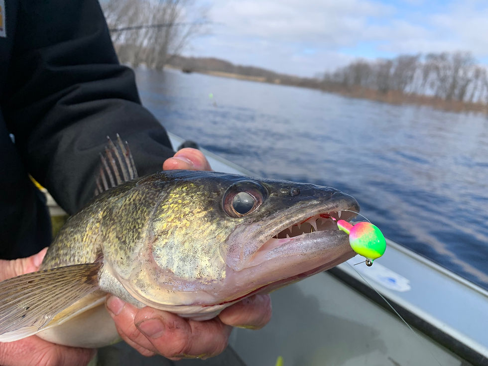 Close-up view of a fishing rod and reel setup ready for walleye fishing