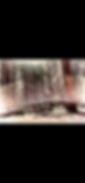 IMG_6535.PNG