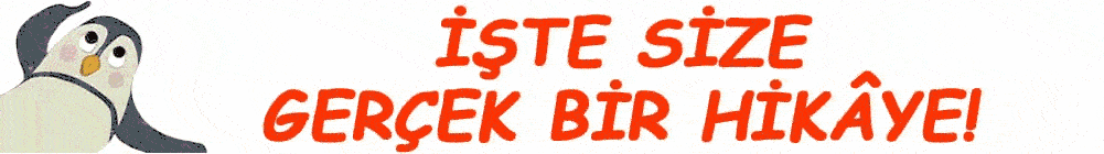 pipet banner.gif
