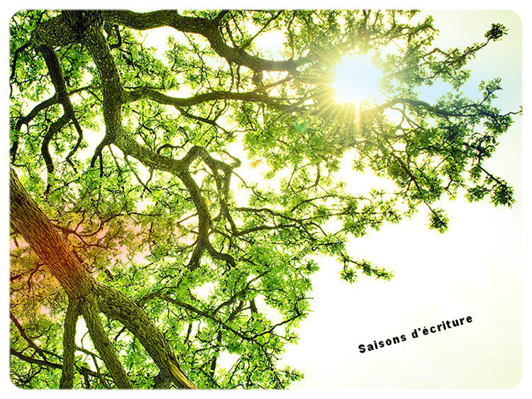 Débat fait d'hiver | librairie-saisons